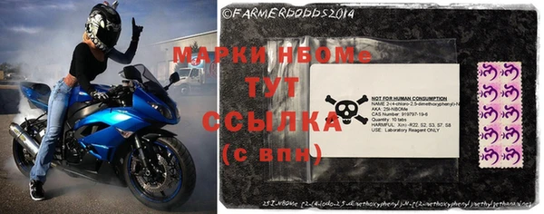 стаф Алексин