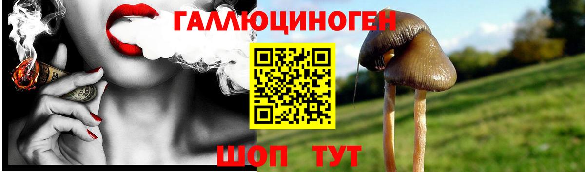 Обнинск  Псилоцибиновые грибы Magic Shrooms  Вход с VPN 